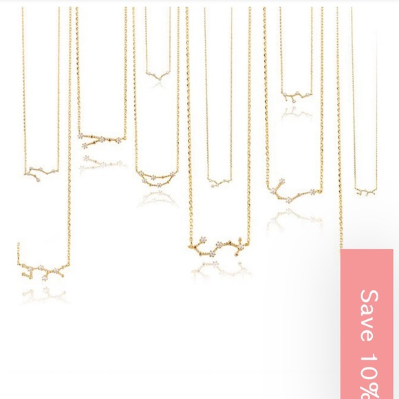 Wanderlust & Co Zodiac Necklace - Picture 10 of 13